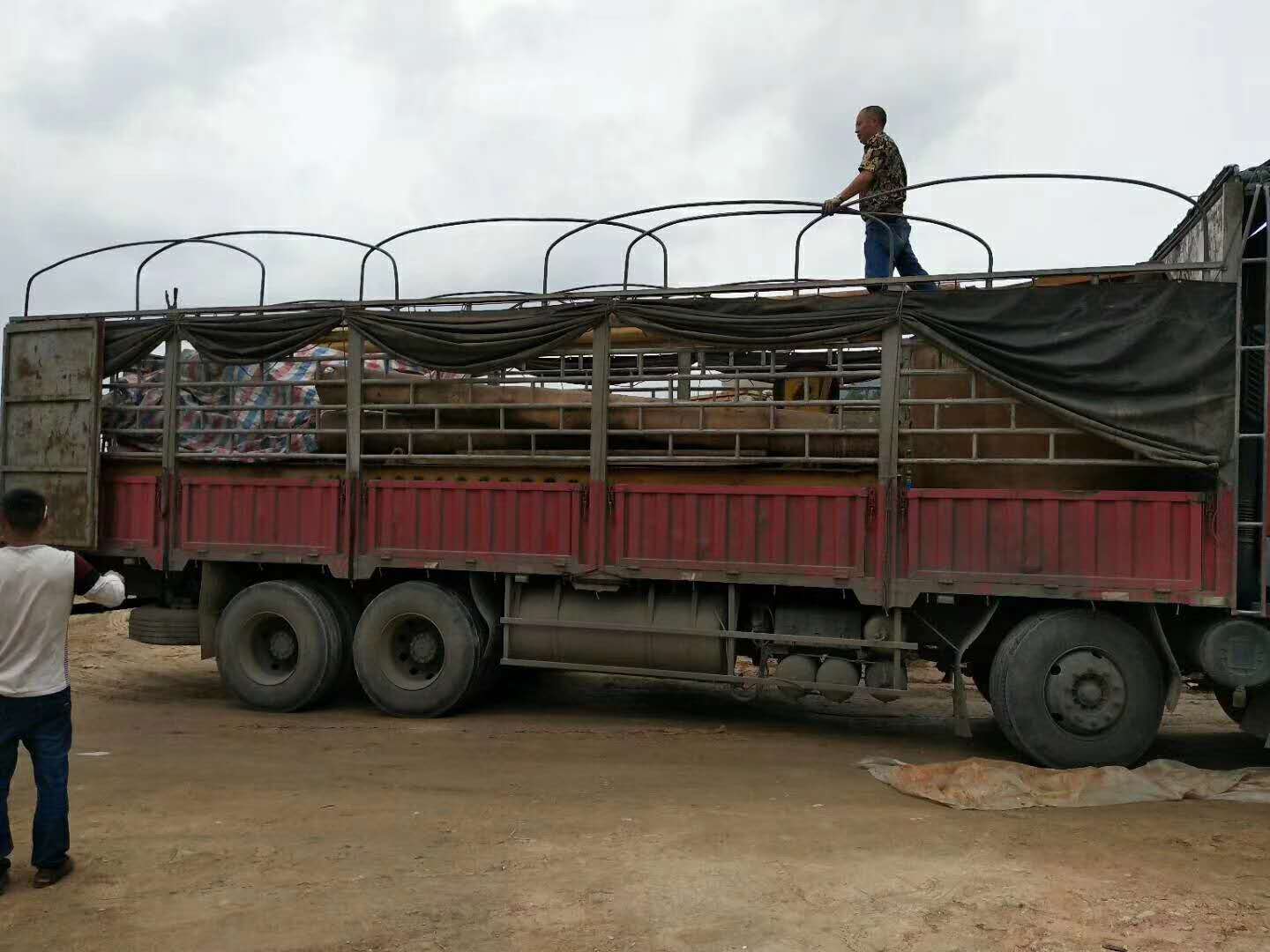 吴江到曲靖物流专线-吴江至曲靖货运公司价格